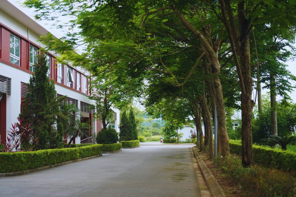 Không gian mở với nhiều cây xanh thoáng mát