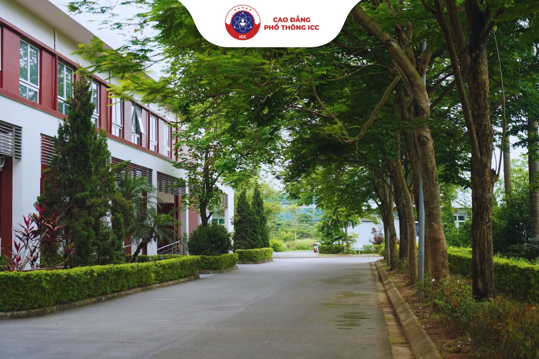Khuôn viên nội trú nhiều cây xanh, sạch đẹp và yên tĩnh, tạo điều kiện lý tưởng để học sinh nghỉ ngơi sau những giờ học tập căng thẳng